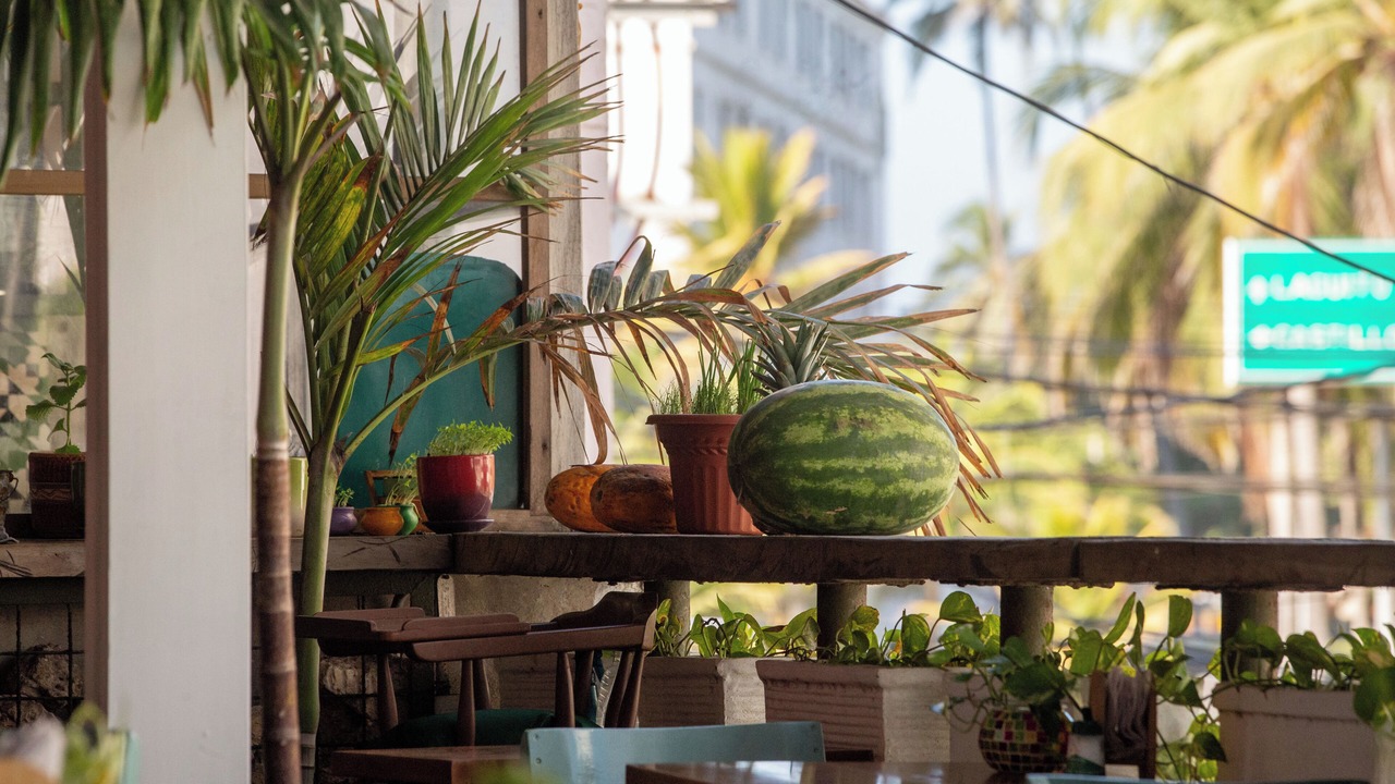 Photo of Outdoor in Bocagrande