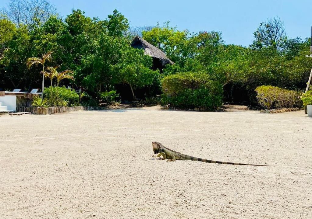 Photo of Outdoor in Bocachica