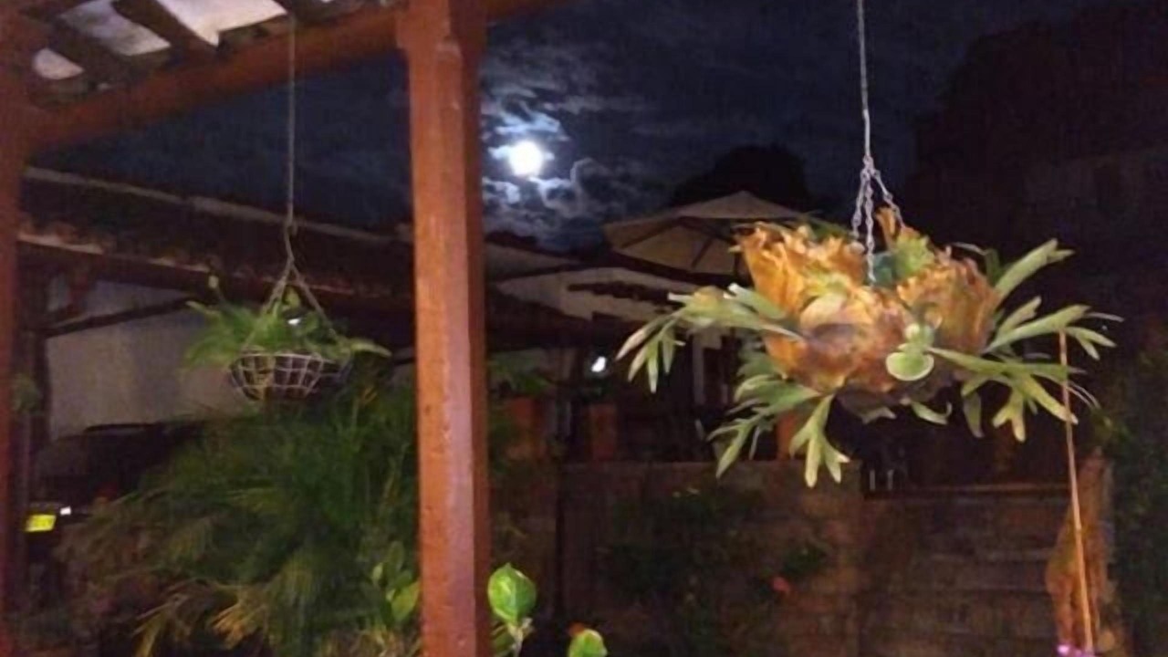 Photo of Outdoor in Socorro