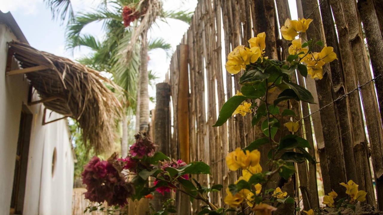 Photo of Outdoor in Palomino