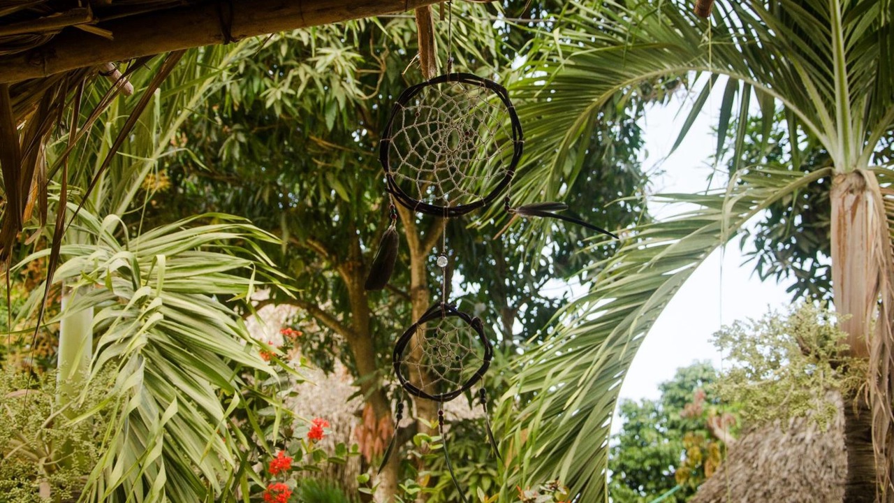 Photo of Outdoor in Palomino