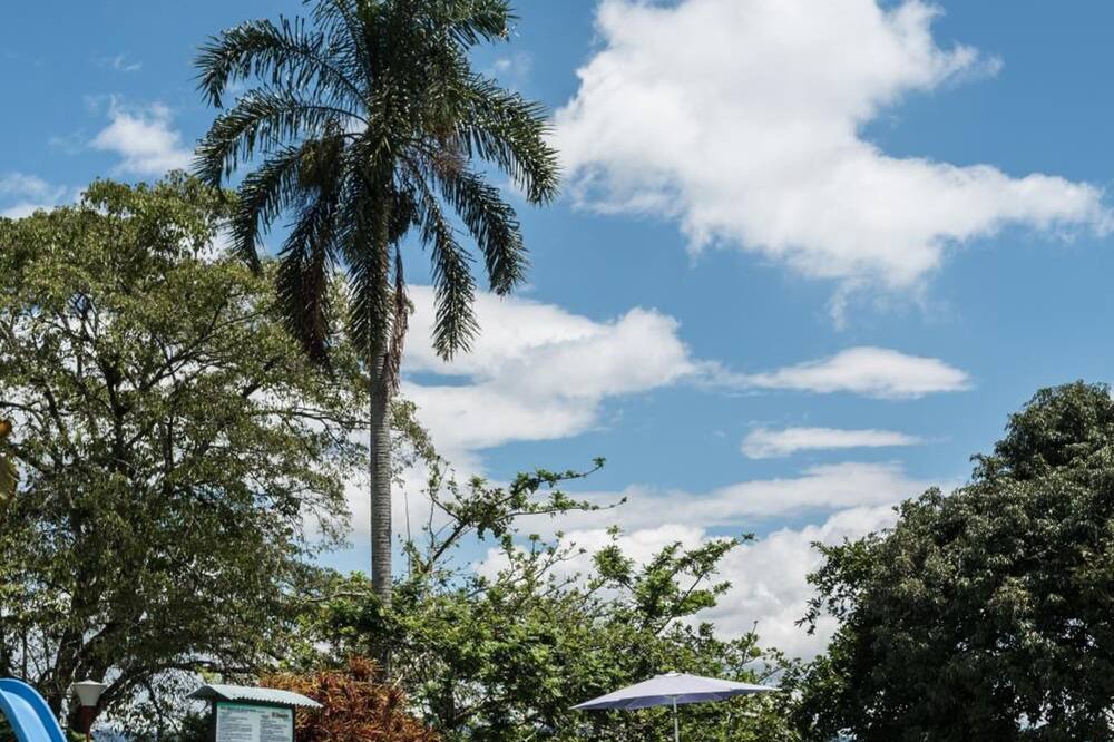 Photo of Outdoor in Quimbaya