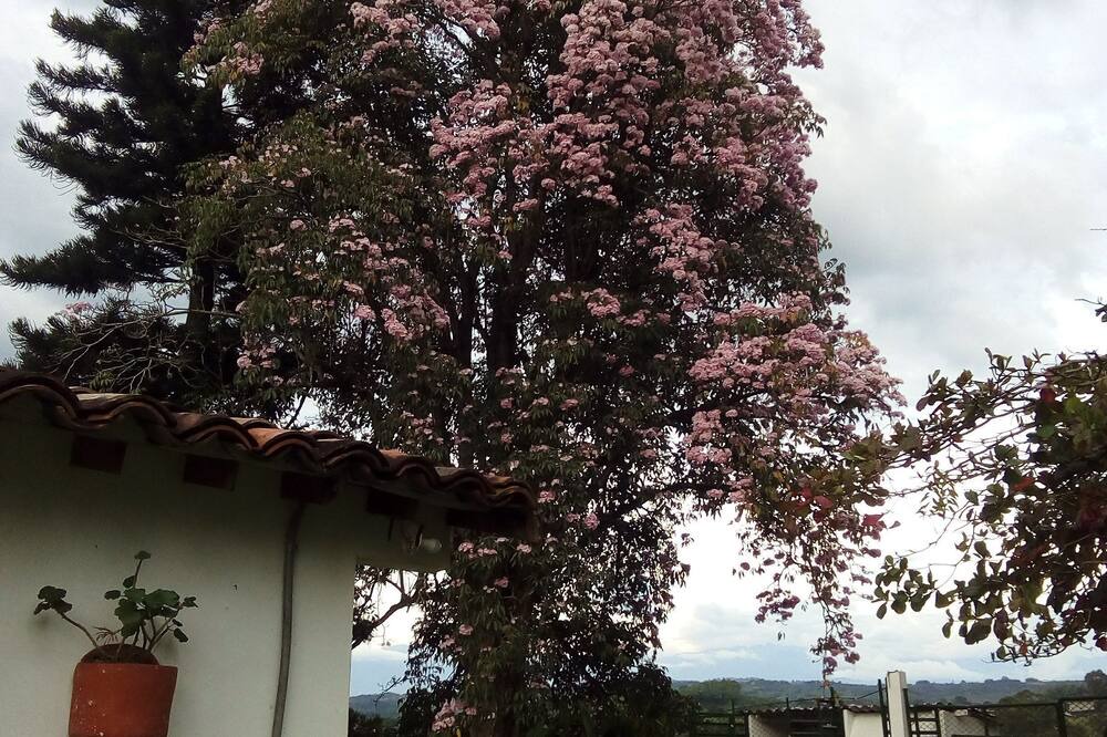 Photo of Outdoor in Quimbaya