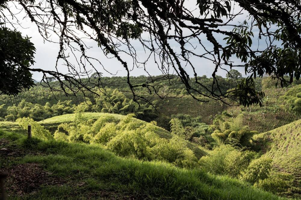 Photo of Outdoor in Quimbaya