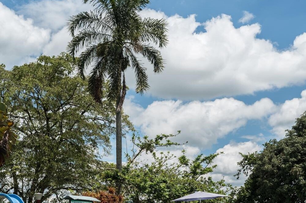 Photo of Outdoor in Quimbaya