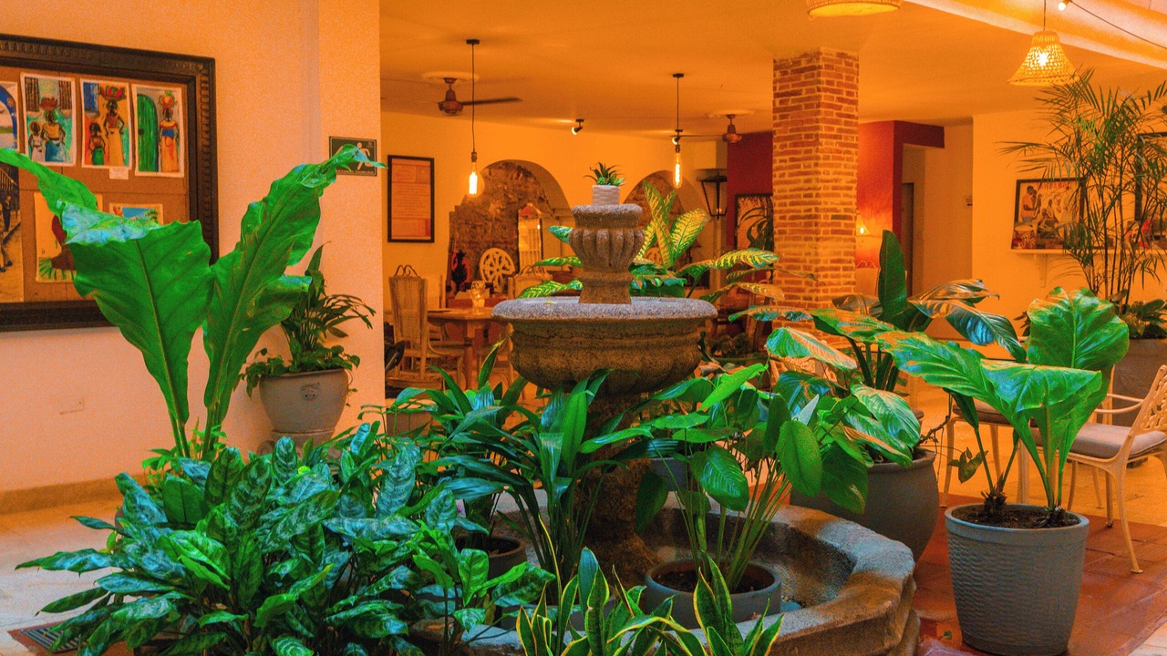 Photo of Outdoor in Cartagena Walled City
