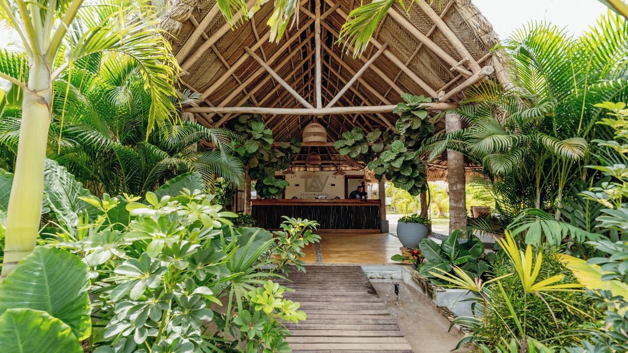 Photo of Outdoor in Buritaca