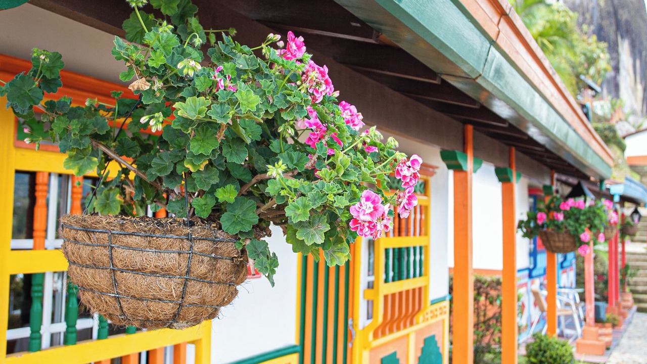 Photo of Outdoor in Guatape