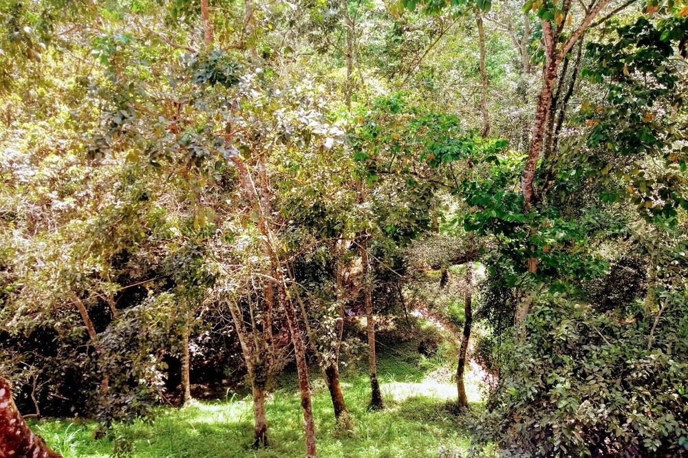 Photo of Outdoor in Villeta