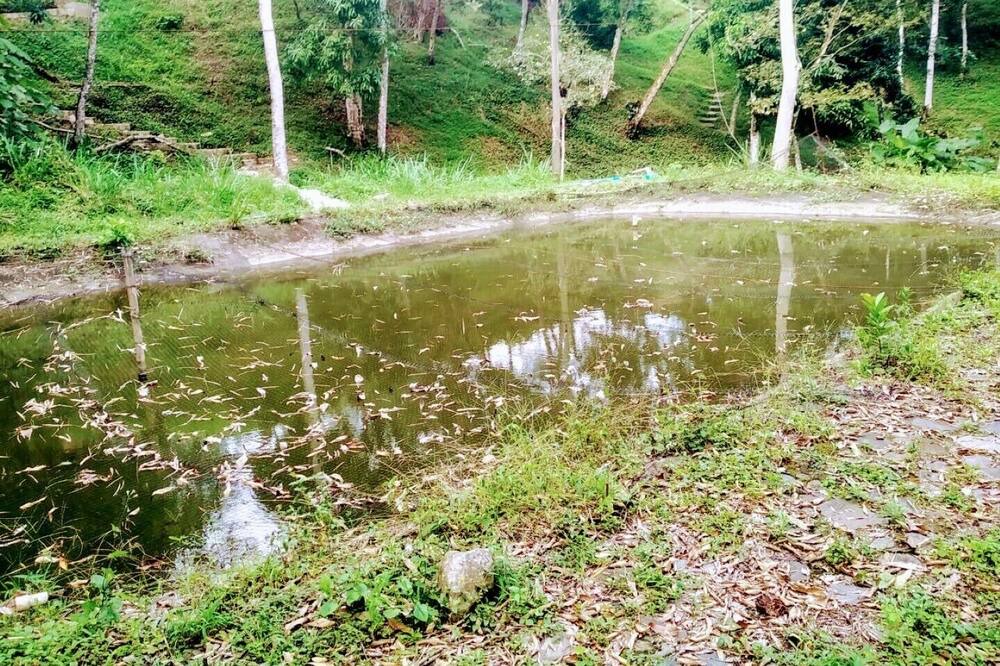 Photo of Outdoor in Villeta