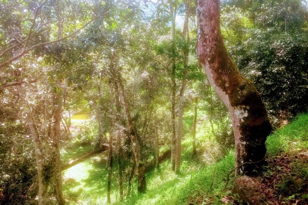 Photo of Outdoor in Villeta