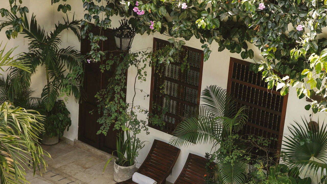 Photo of Patio Balcony in Centro