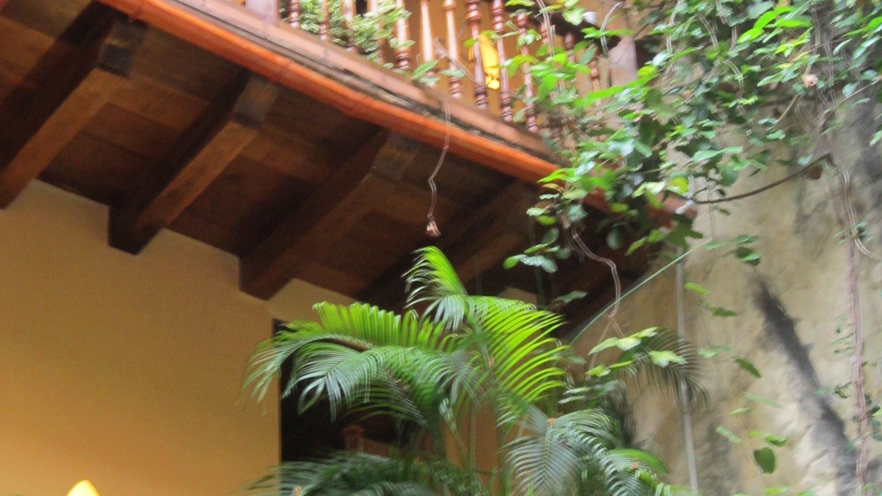 Photo of Others in Centro