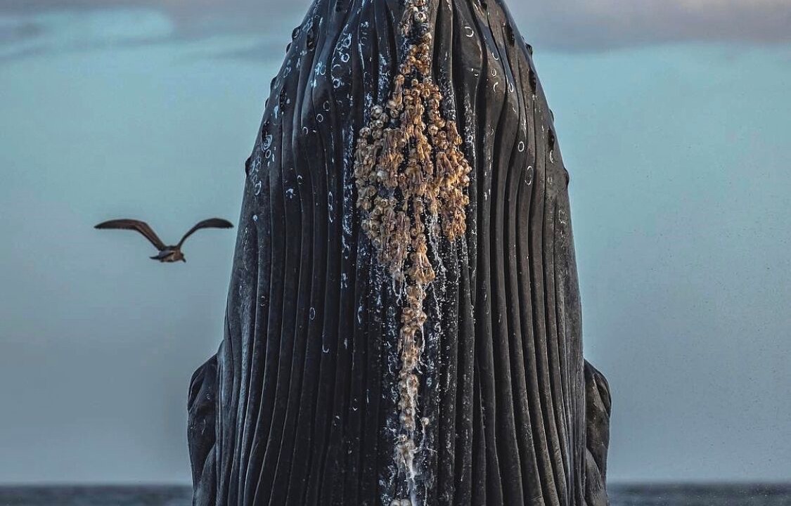 Photo of Others in Nuqui