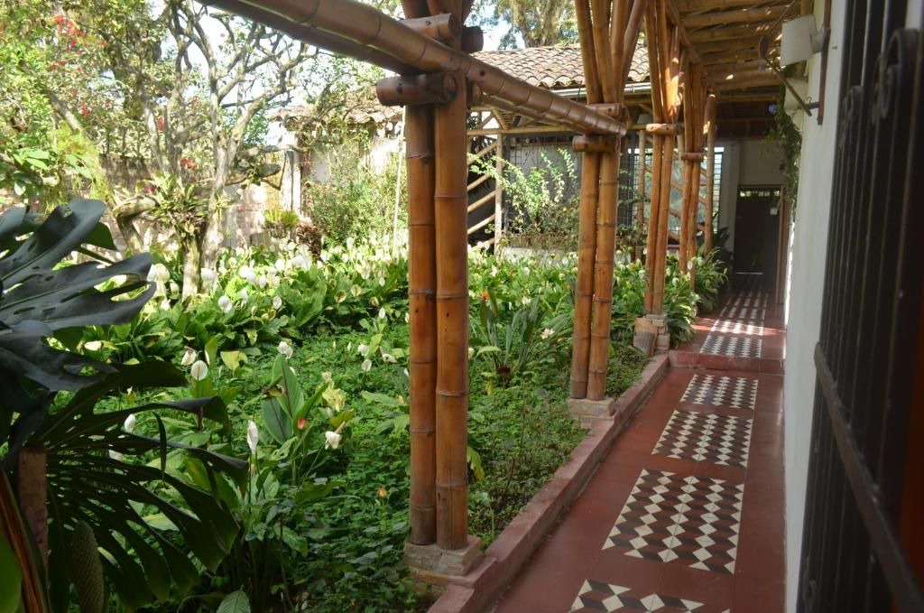 Photo of Outdoor in Pitalito
