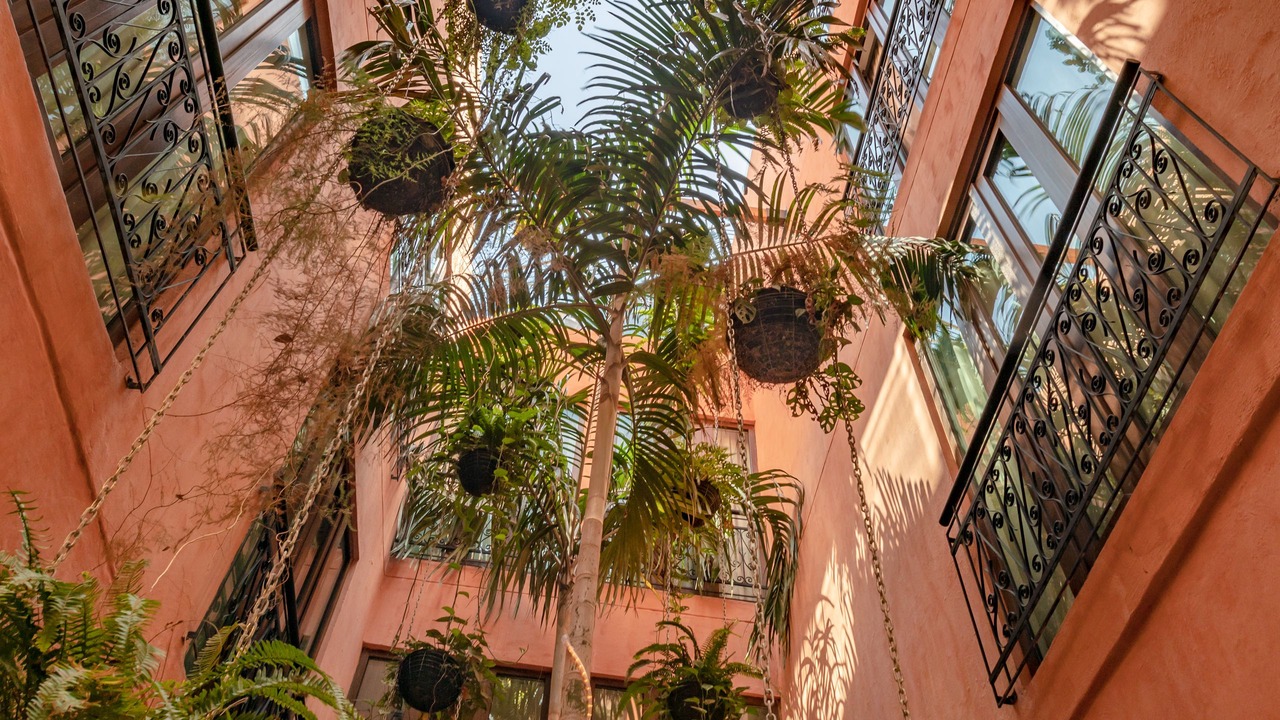 Photo of Others in Cartagena Walled City