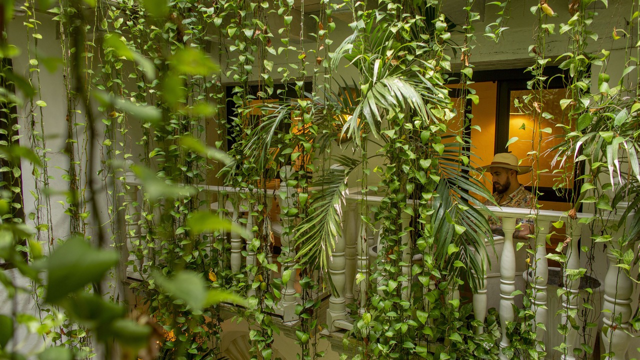 Photo of Outdoor in Centro