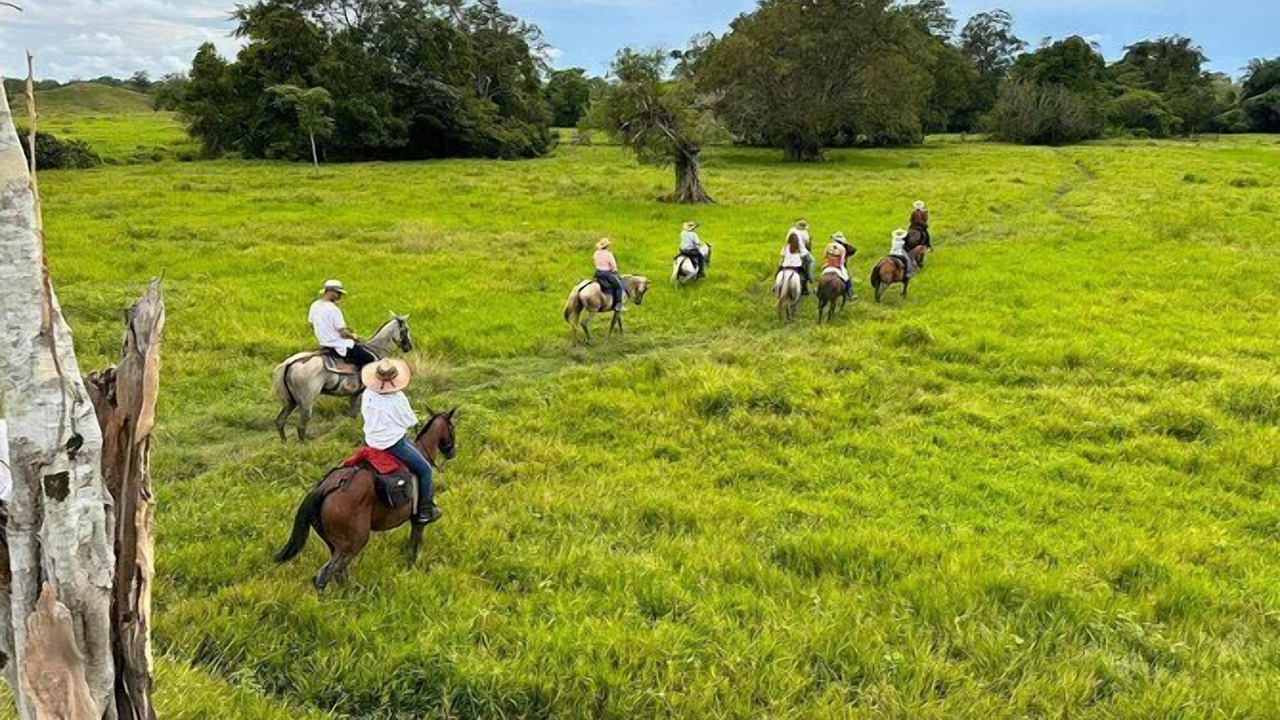 Photo of Others in Rionegro