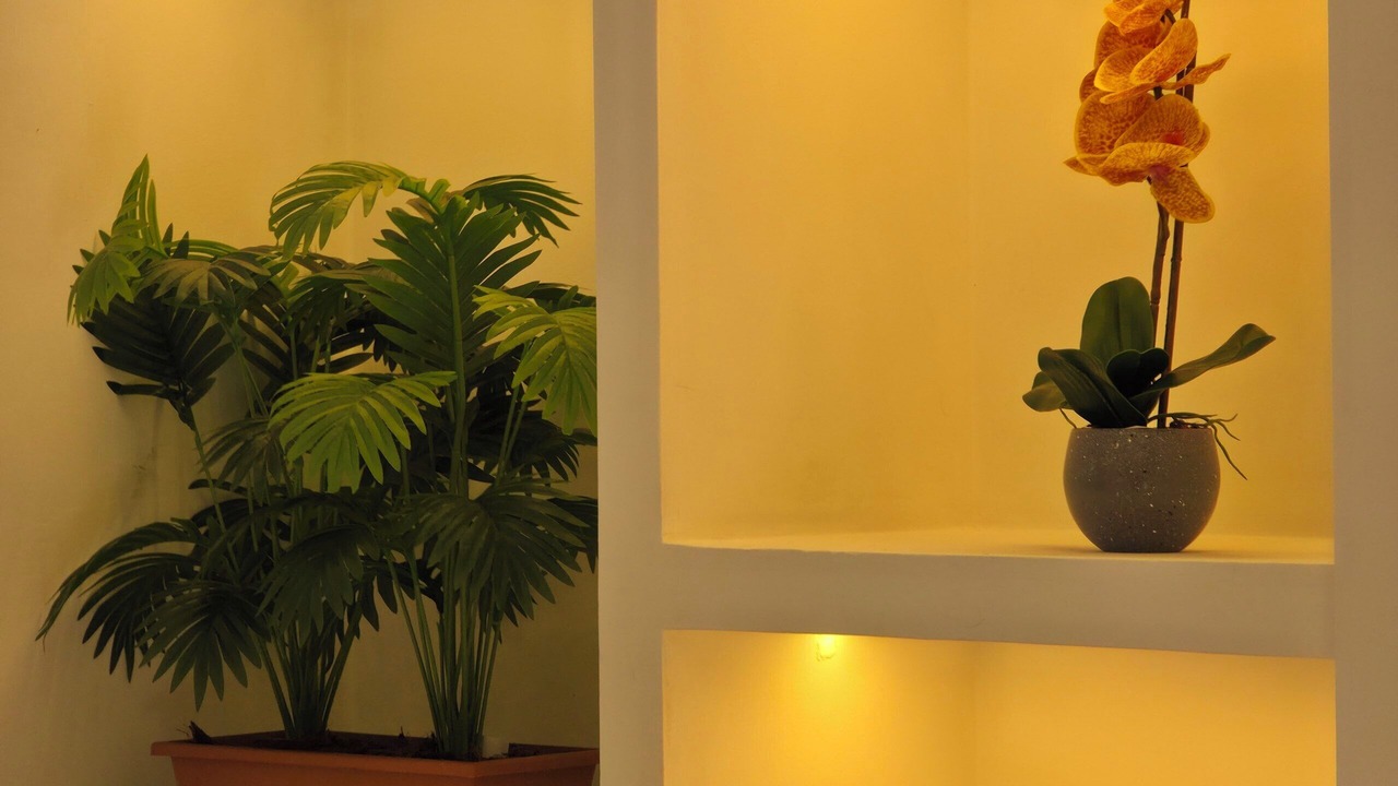 Photo of Bedroom in Santa Fe de Antioquia