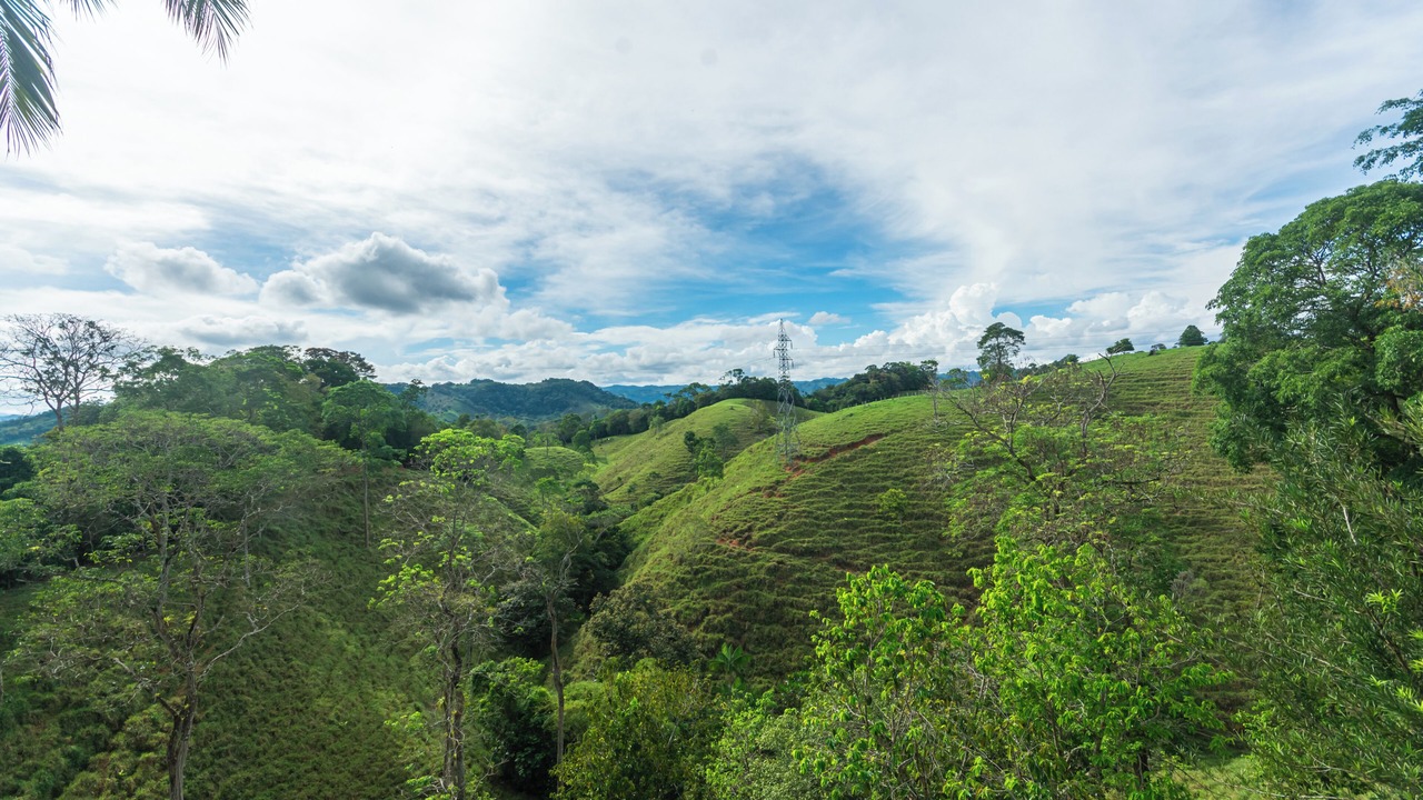 Photo of Others in Doradal