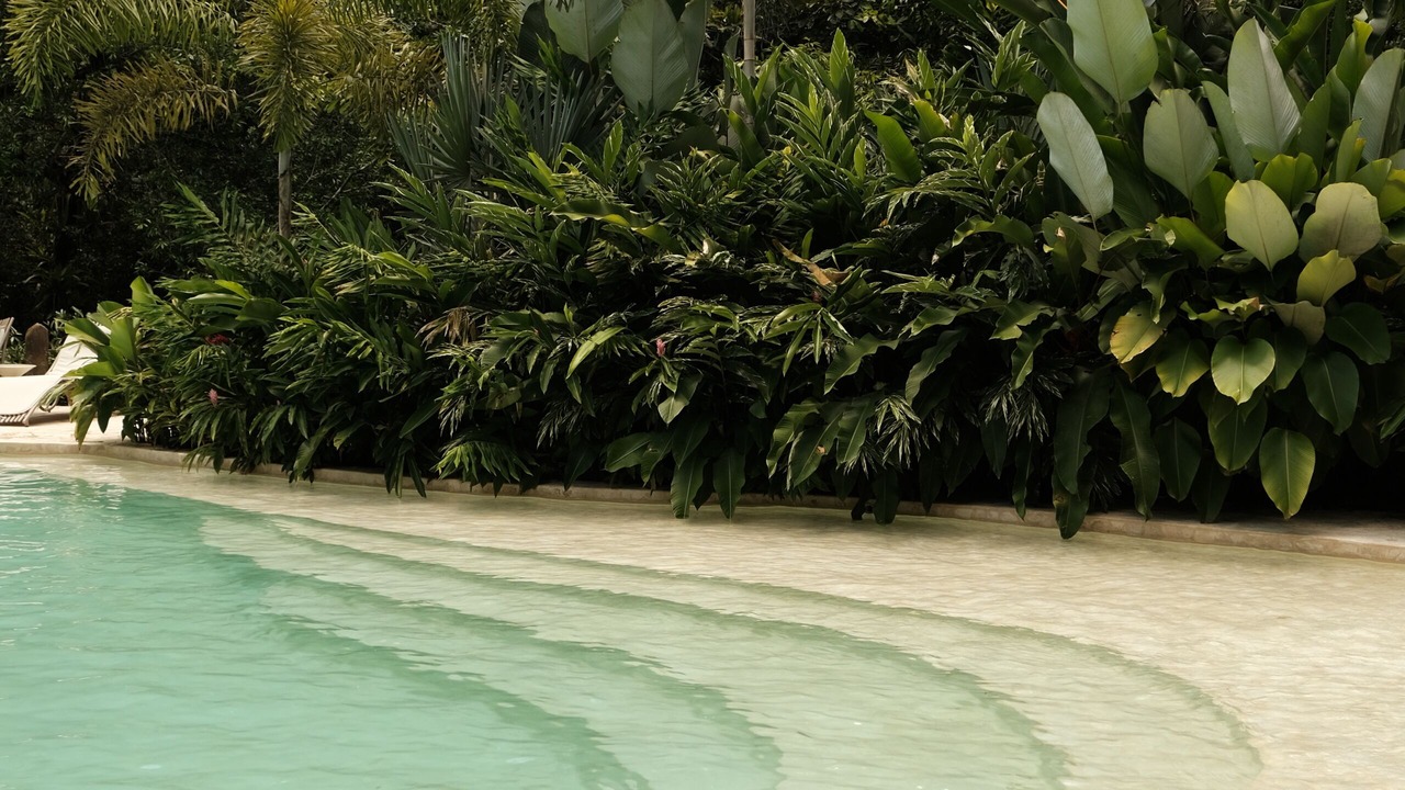 Photo of Outdoor in Andean Natural Region