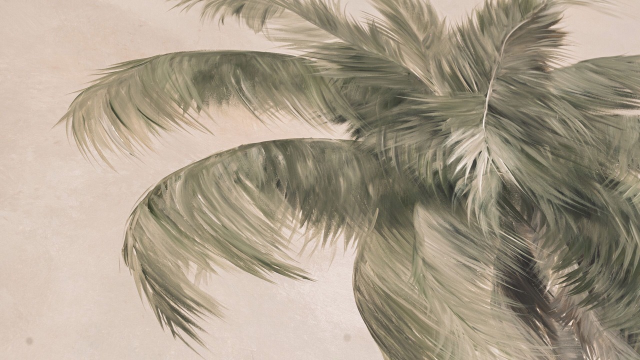Photo of Others in Bocagrande