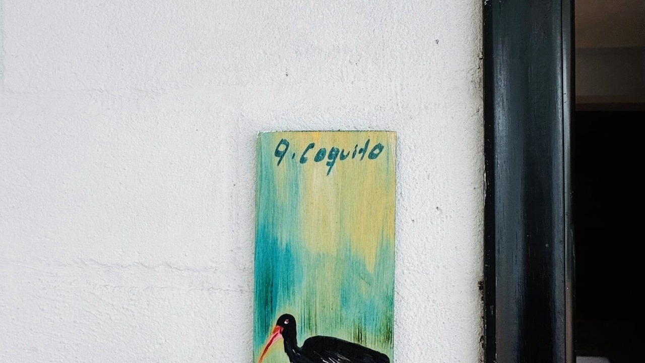 Photo of Outdoor in La Estrella