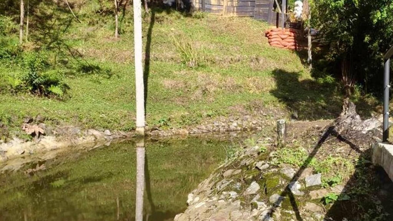 Photo of Others in Guarne