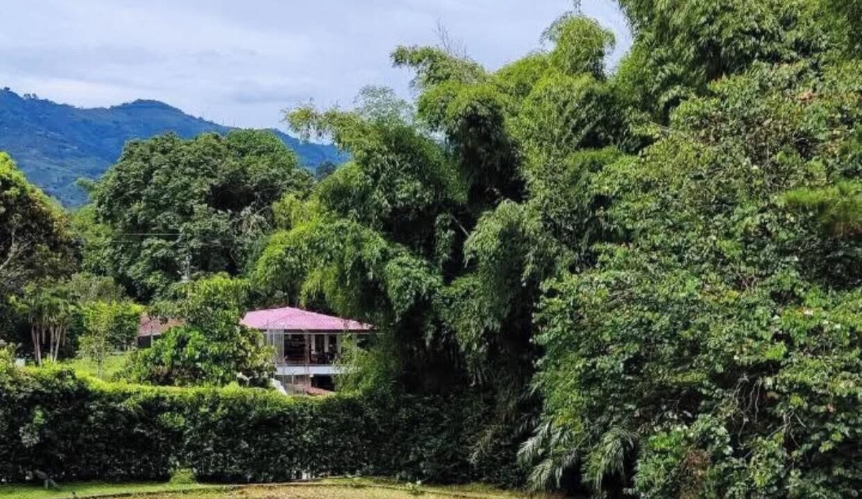 Photo of Outdoor in Pereira