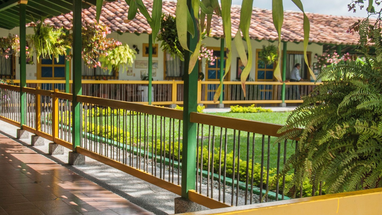 Photo of Outdoor in El Eden