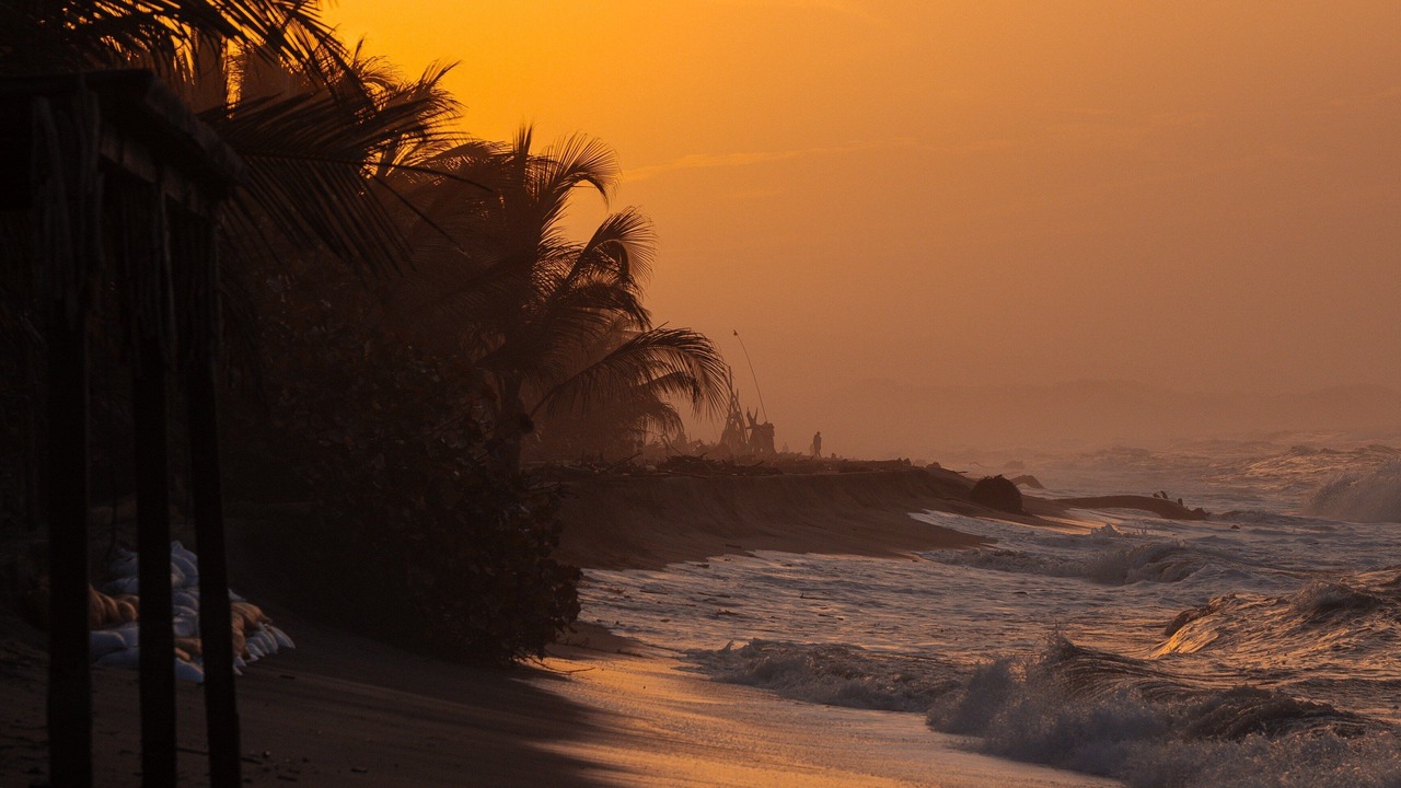 Photo of Others in Guachaca