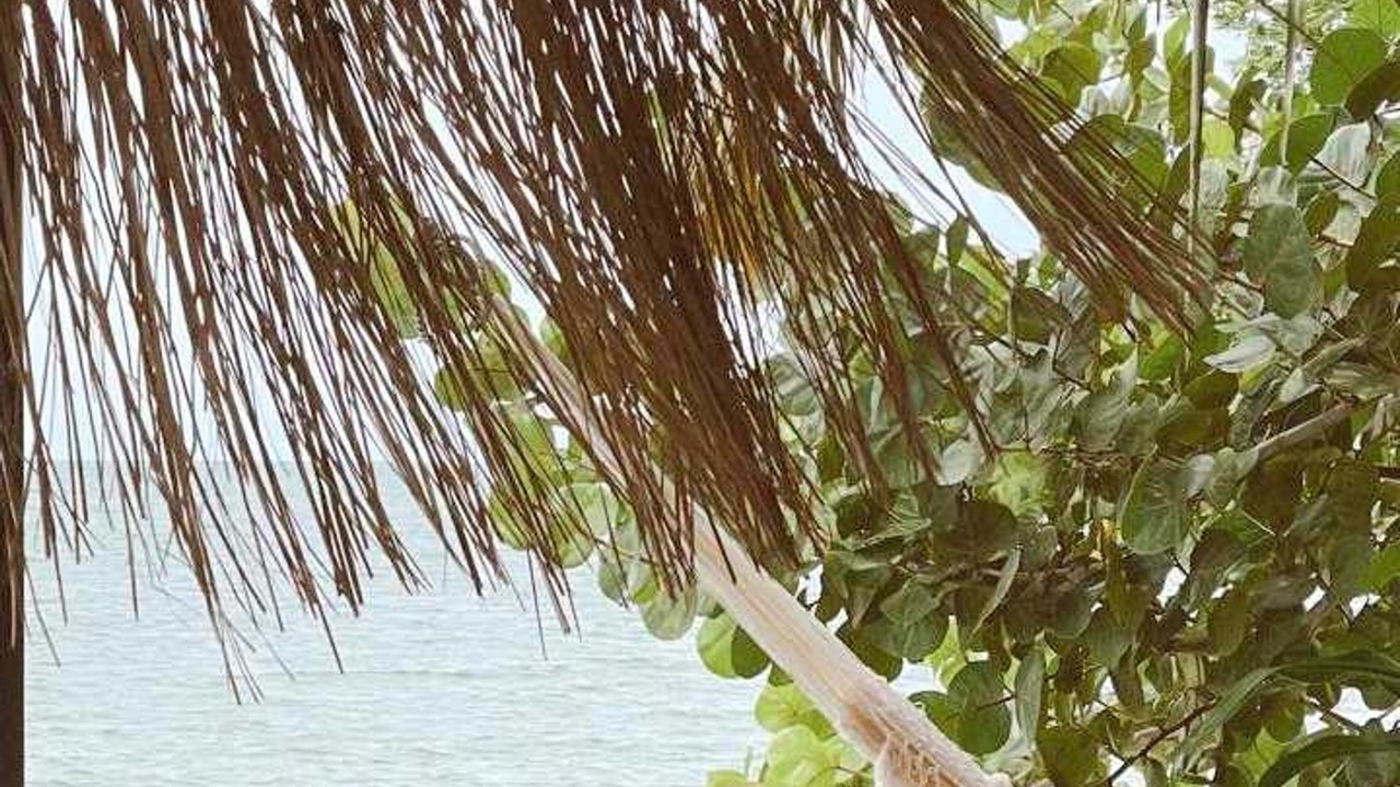 Photo of Others in Rosario Islands