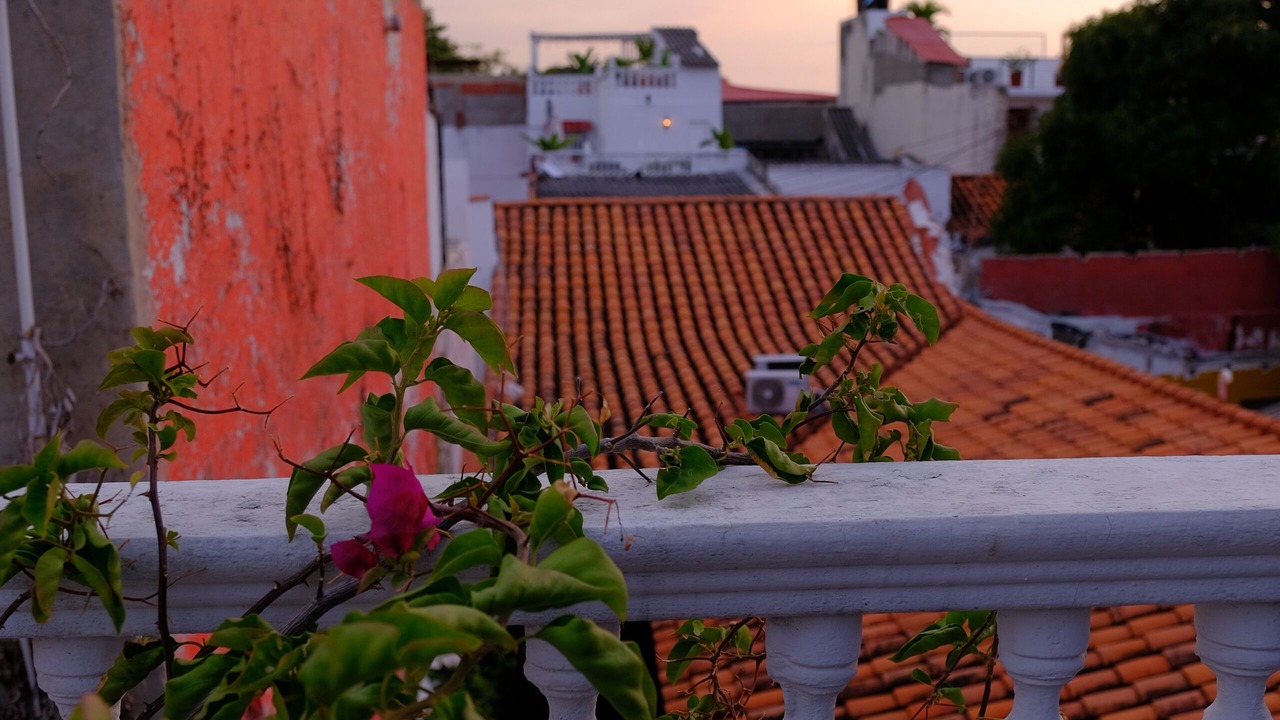 Photo of Others in Cartagena Walled City