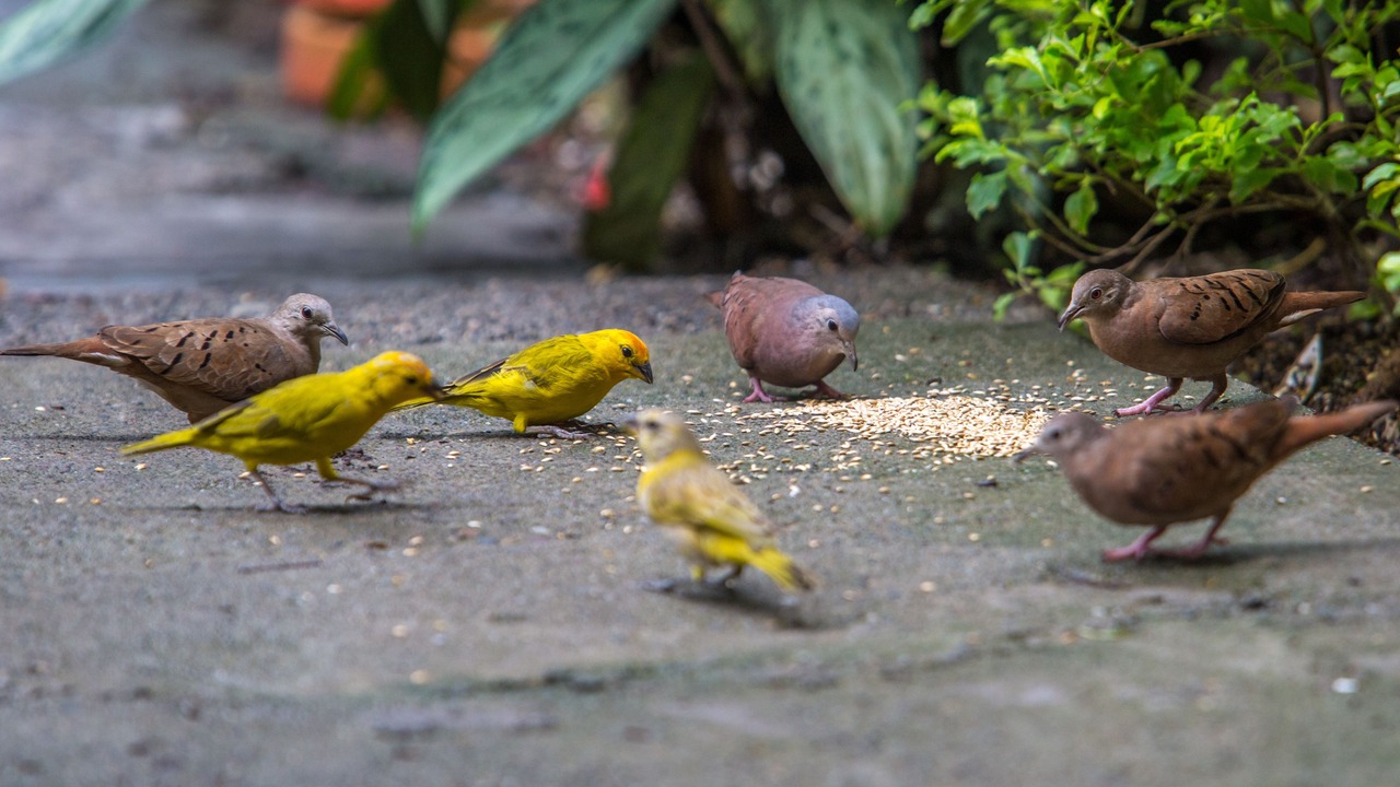 Photo of Outdoor in Villavicencio