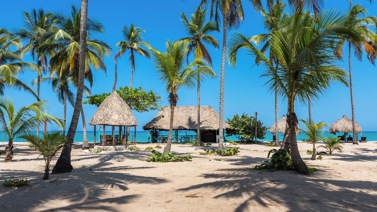 Photo of Others in Palomino