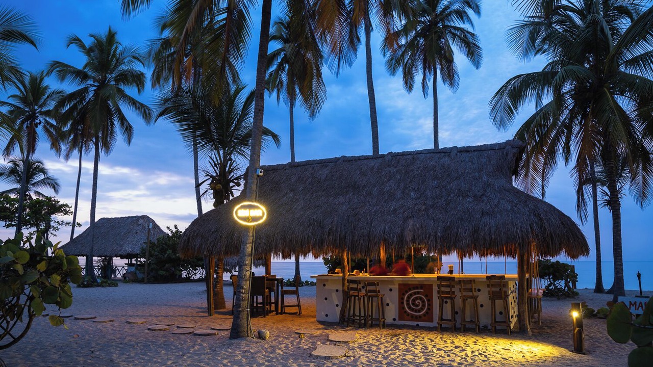 Photo of Others in Palomino