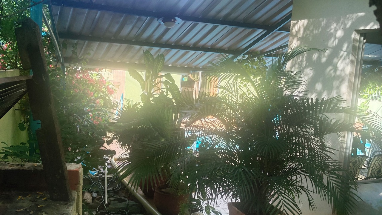 Photo of Outdoor in Taganga