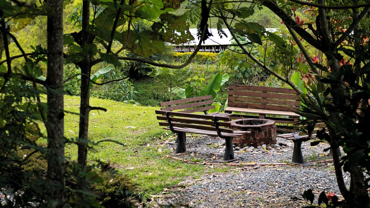 Photo of Outdoor in Neira