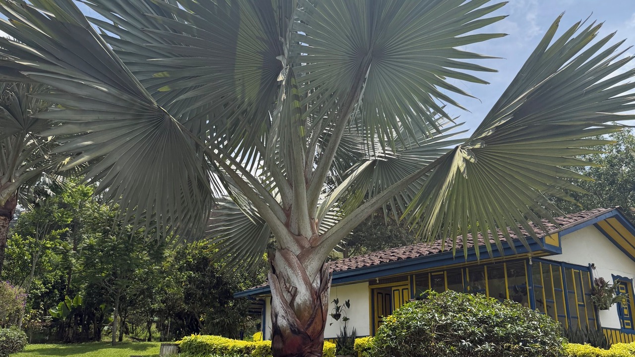 Photo of Outdoor in Salento