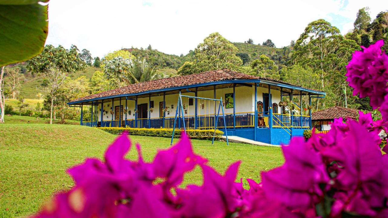 Photo of Outdoor in Salento