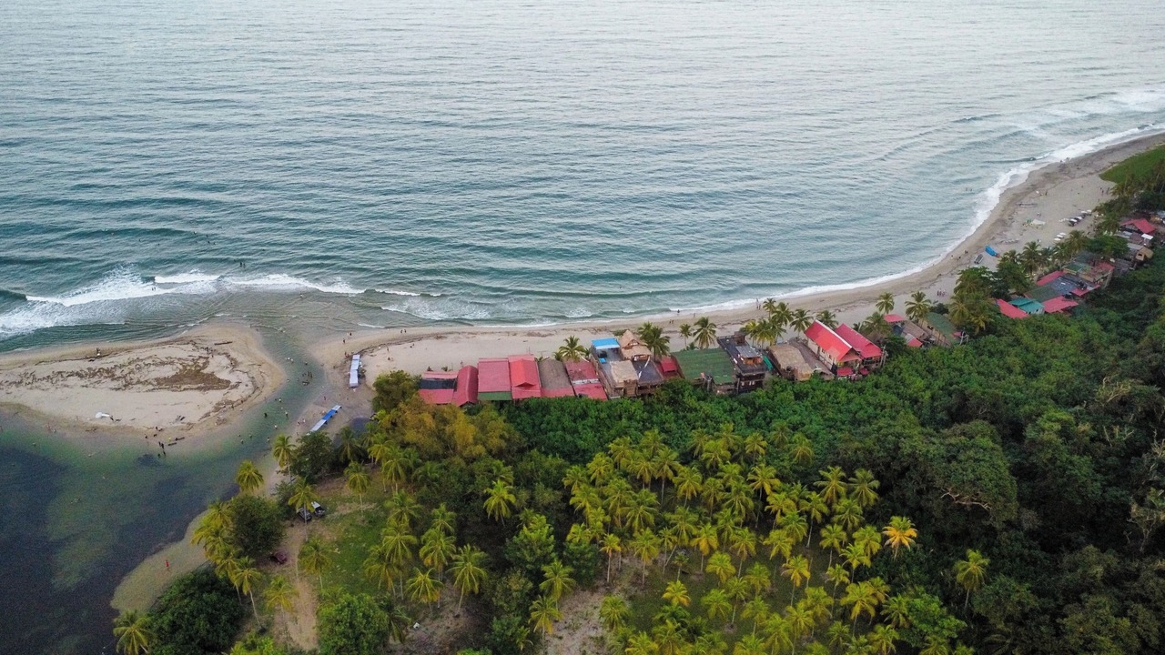 Photo of Outdoor in Palomino