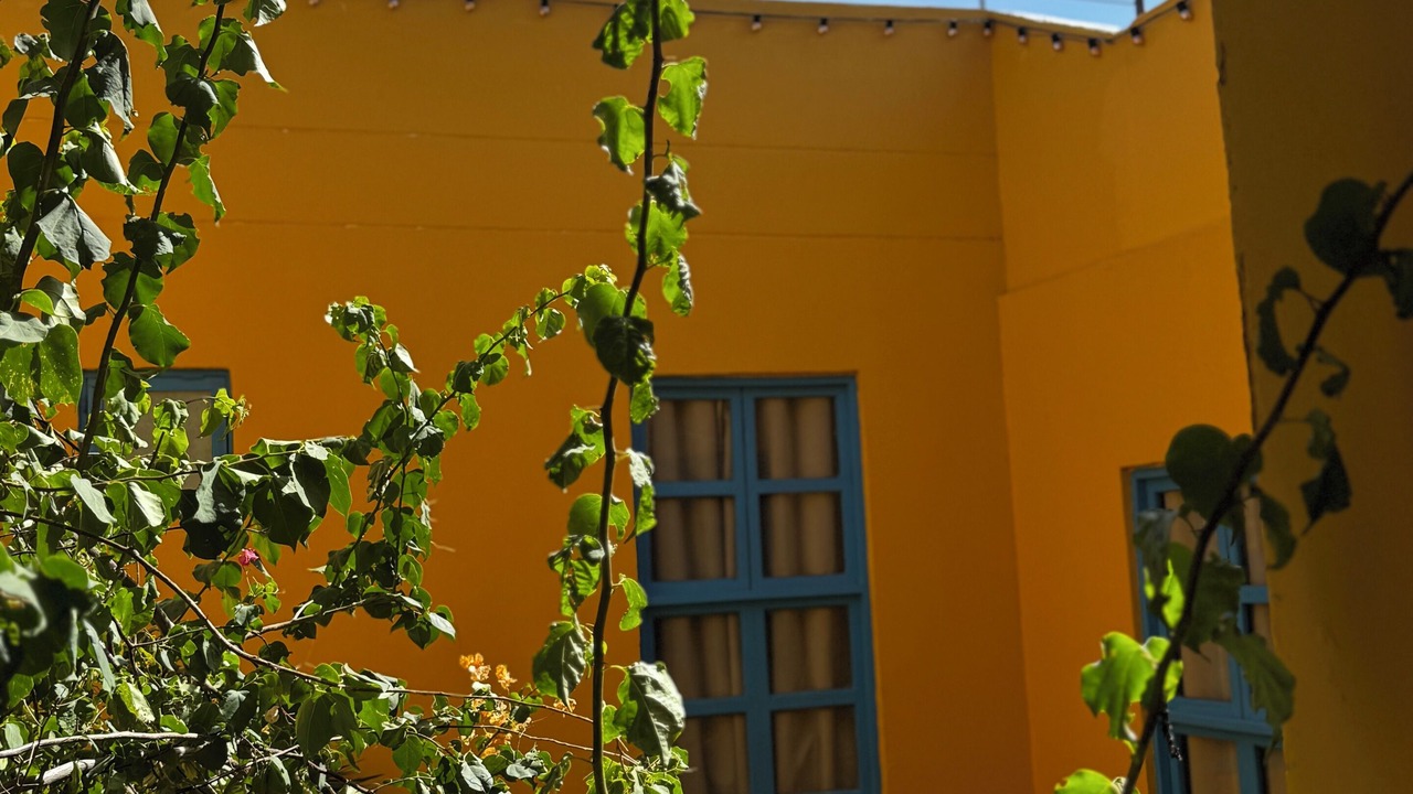 Photo of Outdoor in Barrio Centro