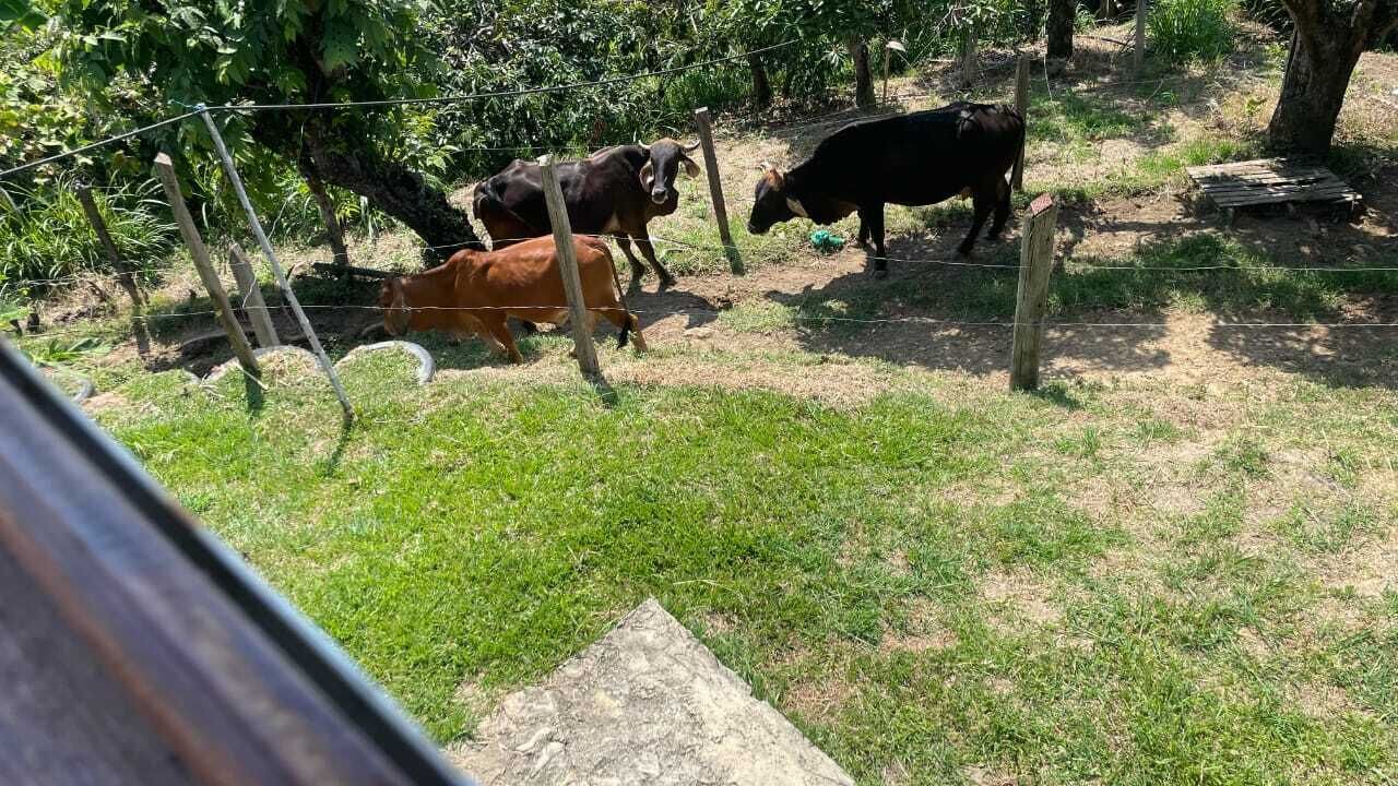 Photo of Others in Arbelaez