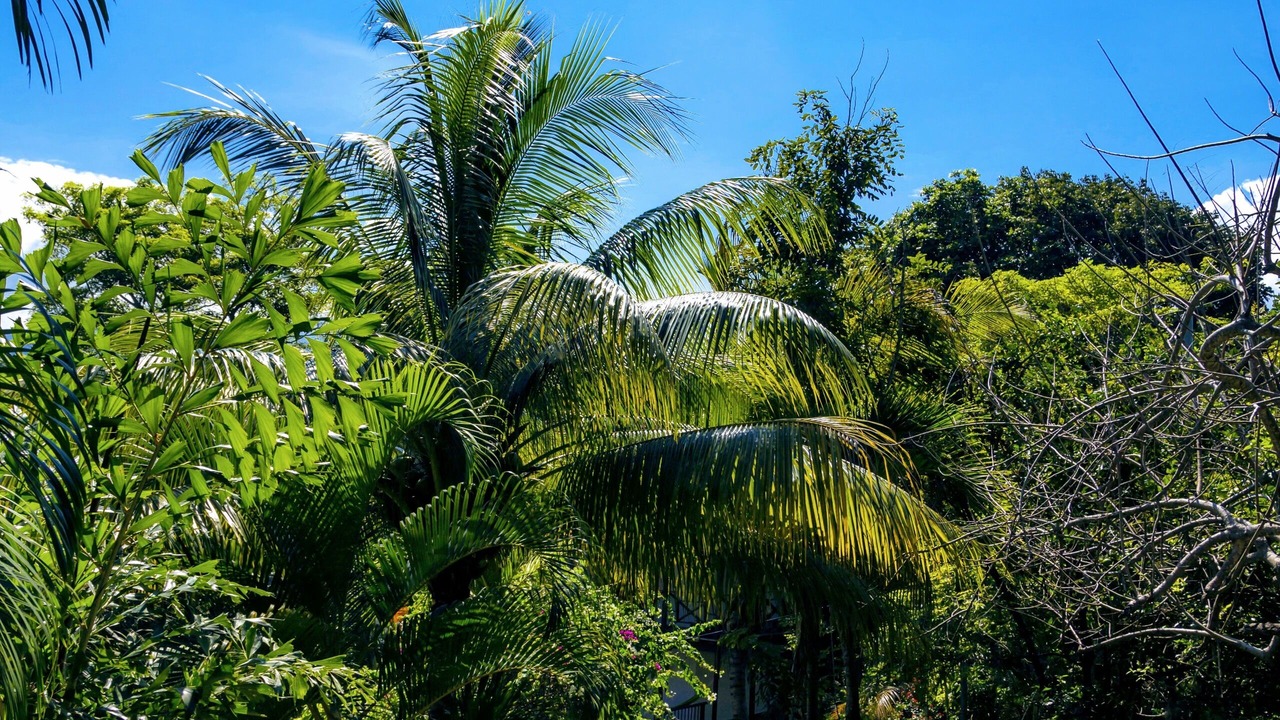 Photo of Outdoor in Mata de Platano