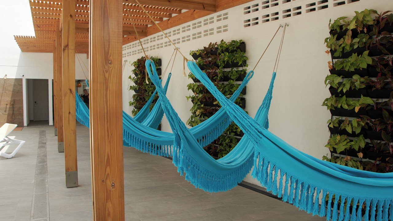 Photo of Outdoor in Punta Hansa