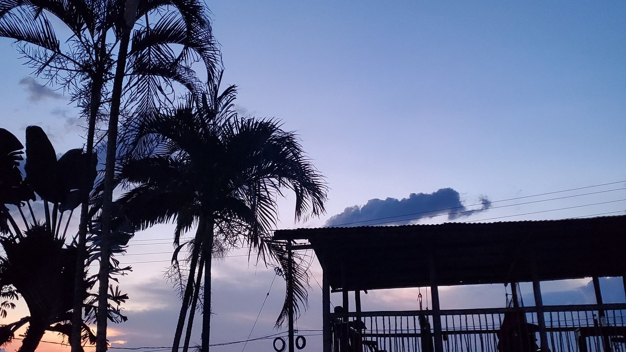 Photo of Outdoor in Filandia