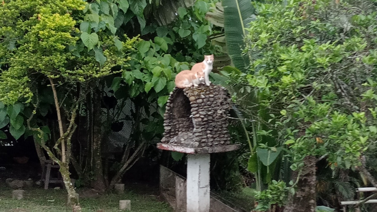 Photo of Outdoor in Filandia
