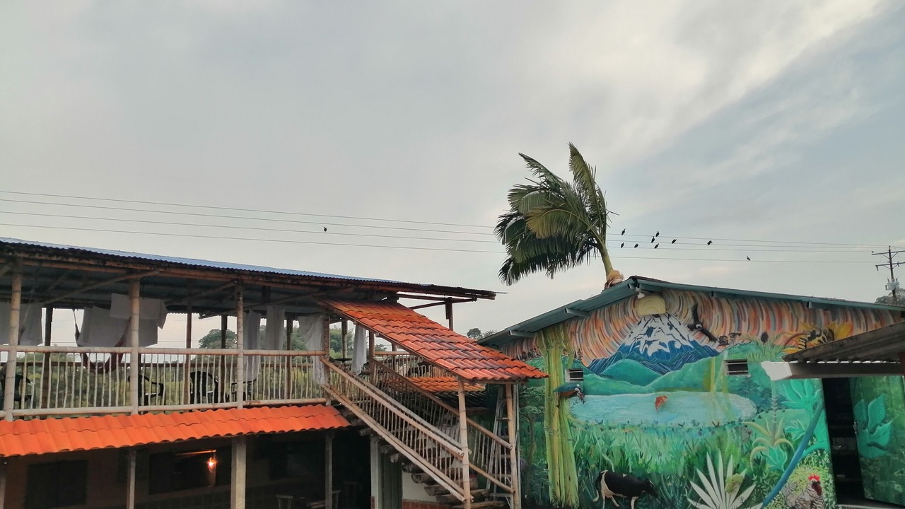 Photo of Outdoor in Filandia