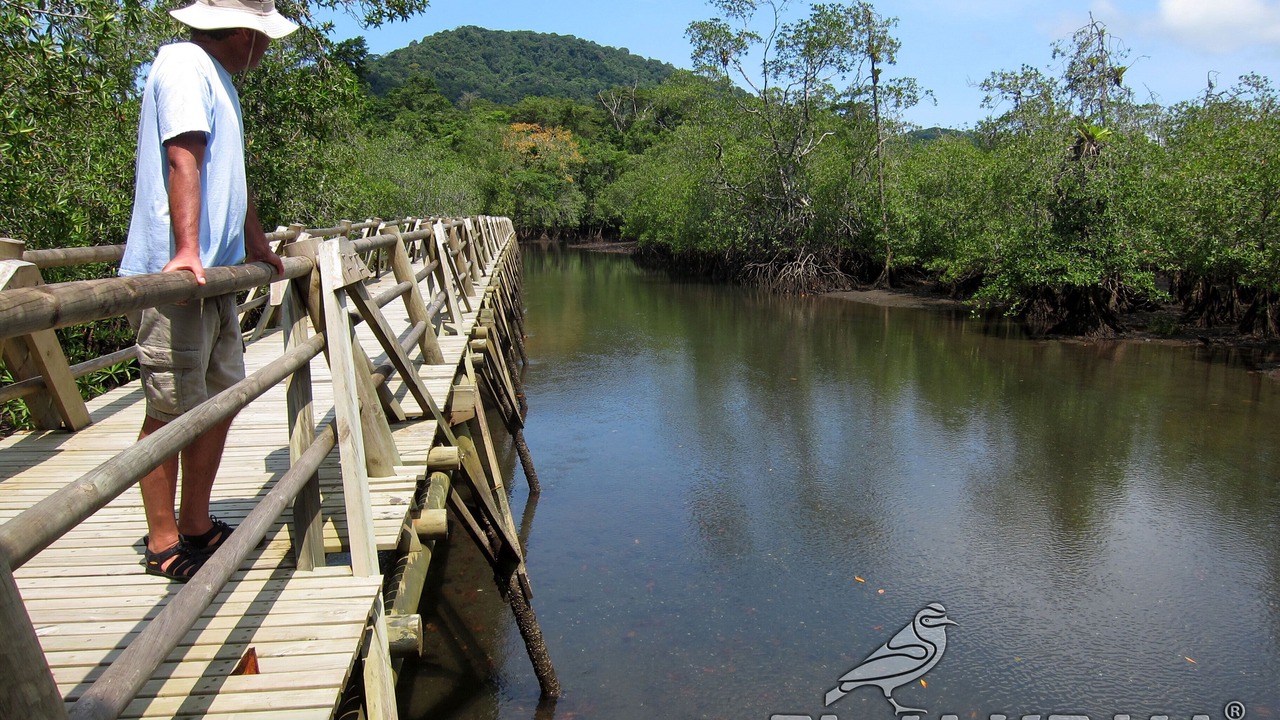 Photo of Others in Bahia Solano
