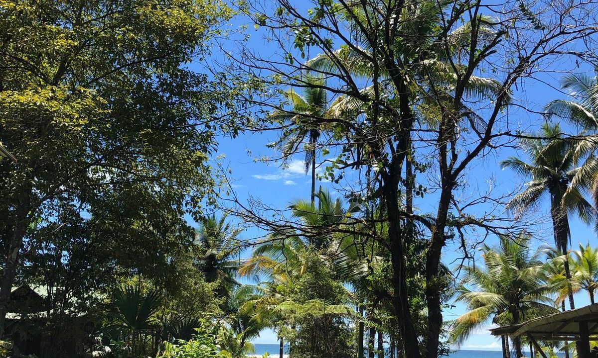 Photo of Outdoor in Bahia Solano